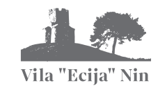 ecija logo gray
